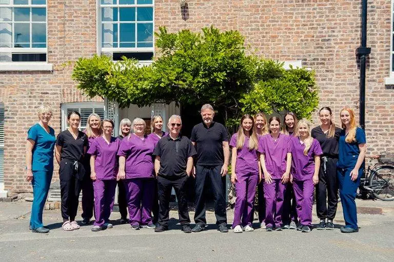 Bank House Dental | New Website