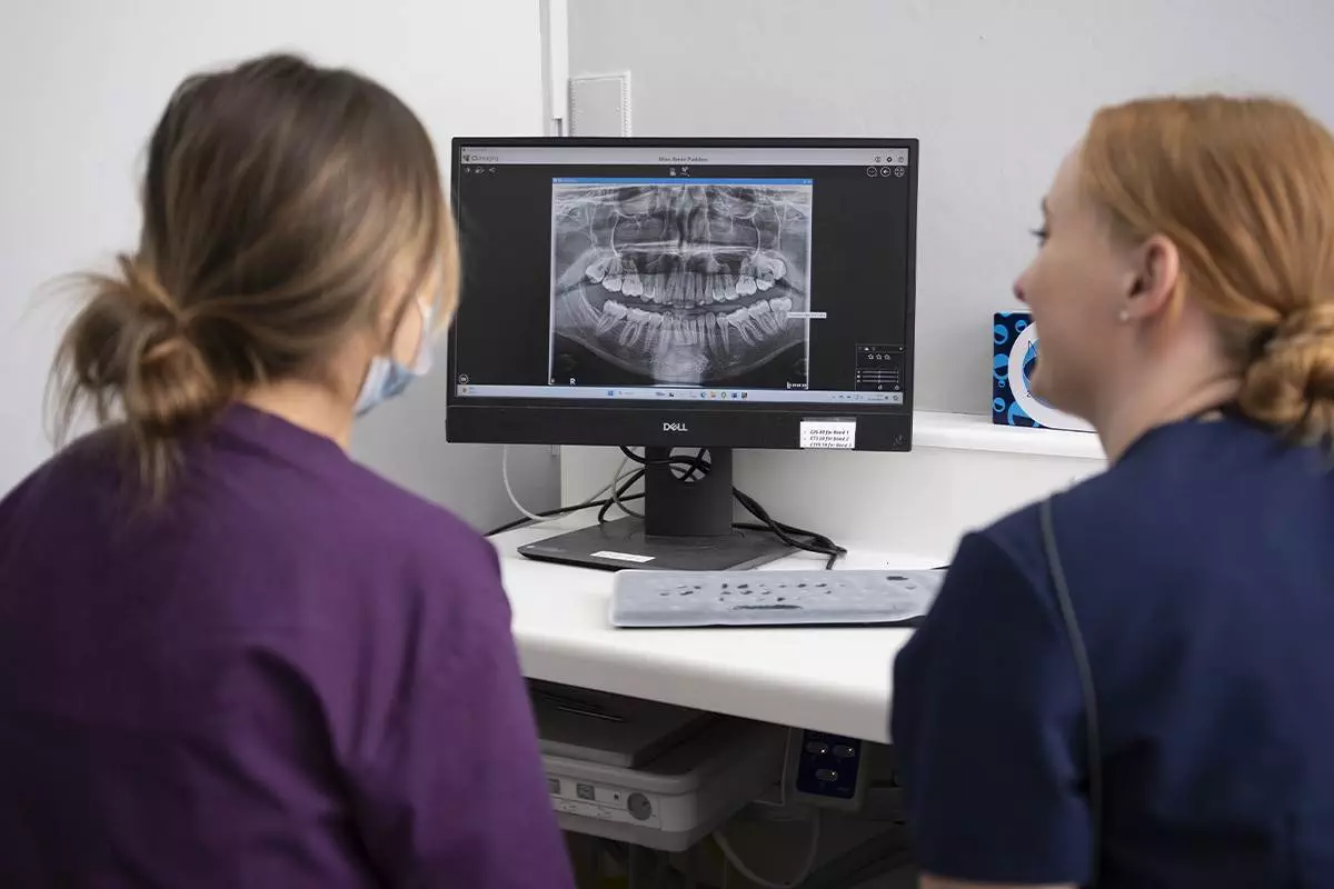 Bank House | Root Canal